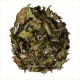 Pai Mu Tan- White Peony - 