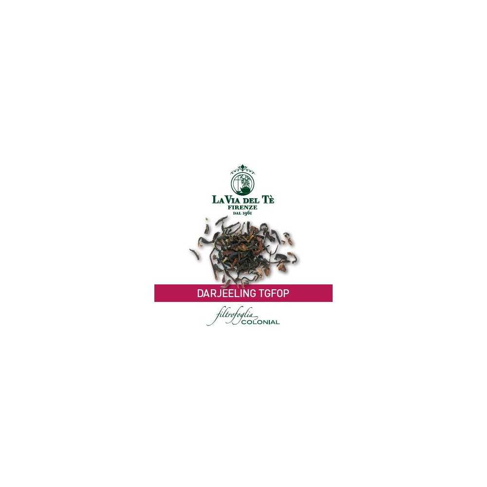 Darjeeling TGFOP 100 stuks - 